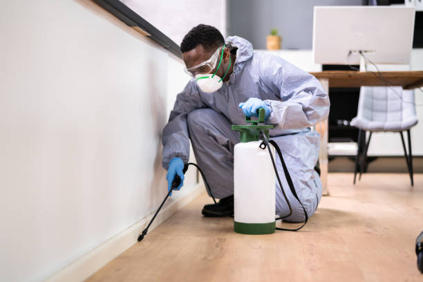 Best Bed Bug Extermination  in Bayou Vista, LA